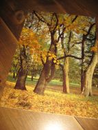 1963 NR 004 Vårt Yrke