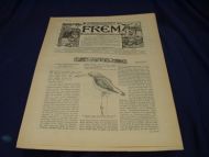 1901 nr 040 FREM Lys over land