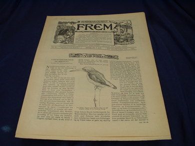 1901 nr 040 FREM Lys over land