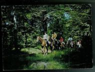 Ryttere i Bøkeskogen Larvik