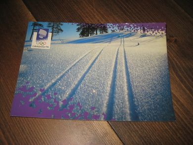 542 LOOC 1991 Nordmarka Oslo