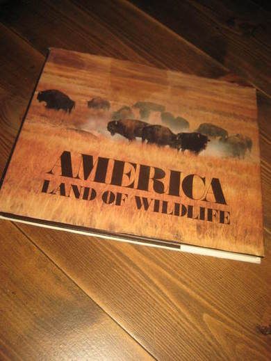 AMERICA. LAND OF WILDLIFE. 
