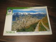061 LOOC 1991 Fruktblomstring i Hardanger