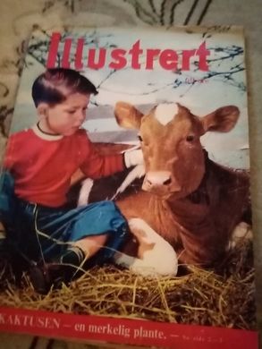 1956 nr 036 Illustrert