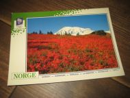 052 LOOC 1991 Høst i fjellet