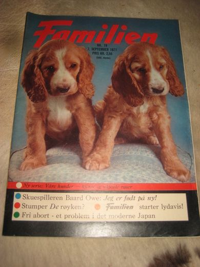 1971 nr 019 Familien