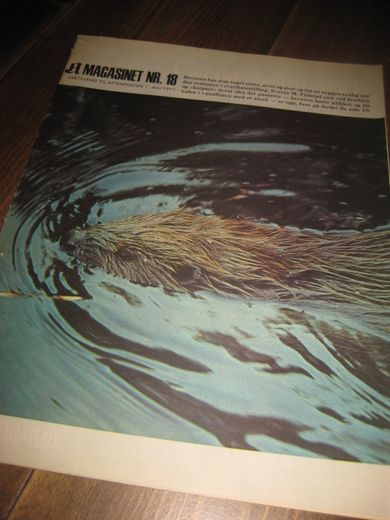 1971 nr 018 A MAGASINET