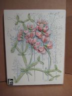 Gipsbilde fra jie CANTOFTA 70 tallet