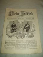 1894 nr 030 Illustrere Familieblad