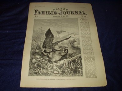 1898,nr 016, Allers Familie Journal