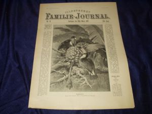 1897,nr 013, Illustreret Familie Journal