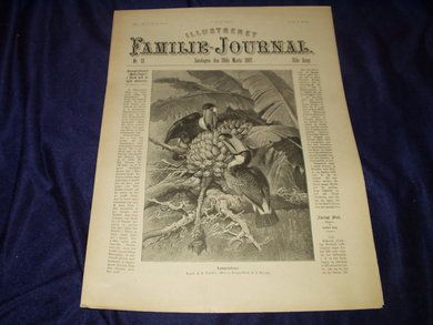 1897 nr 013 Illustreret Familie Journal