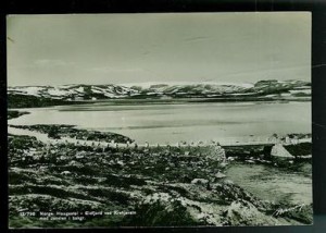 Norge. Haugastøl- Eidfjord ved Krekjavatn med Jøkelen i bakgrunnen.
