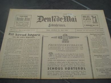 1928 nr 118 Den 17de Mai