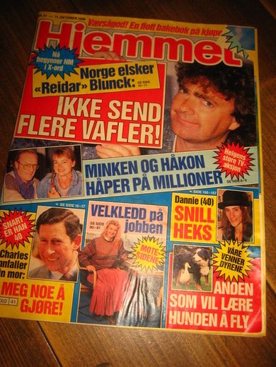 1988 nr 041 Hjemmet