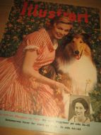 1961 nr 027 Illustrert SOPHIA LOREN FORTELLER OM SITT LIV GARY COOPER