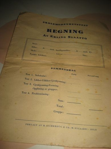 SLAATTO ERLING: SKOLEMODENHETSTEST REGNING