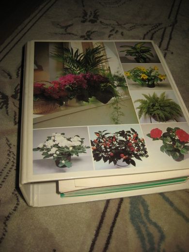 Mine Vakre Planter FULL MAPPE MED PRESENTASJON OVER INNEPLANTER
