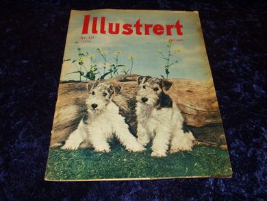 1956 nr 040 Illustrert