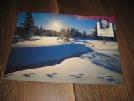 527 LOOC 1991 Ved Lygna