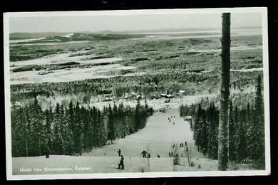 Utsigt från Slalombacken, Åsleden.