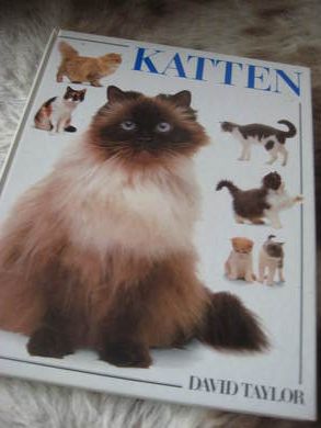 TAYLOR: KATTEN 1990