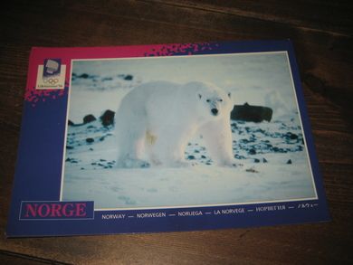 062 LOOC 1991 Isbjørn