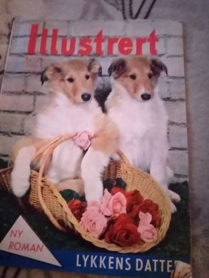 1958 nr 034 Illustrert