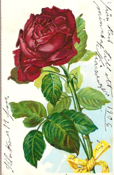 Bolomster kort fra 1906