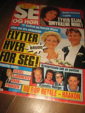 1991 nr 034 SE OG HØR GRETHE KAUSLAND HAAKON TATT AV POLITIET