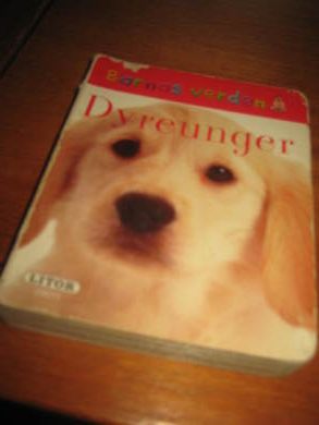 DYREUNGER Litor 29611
