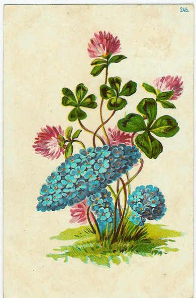 Blomsterkort fra 1906