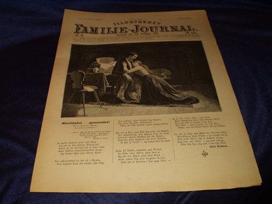 1893 nr 046 Illustrert Familie - Journal