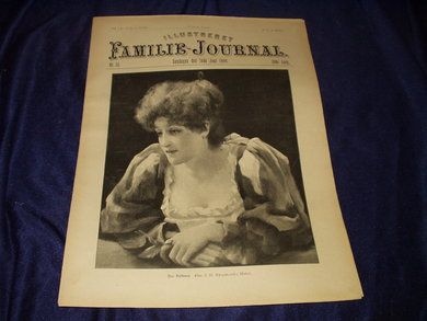 1896 nr 024 Illustreret Familie Journal