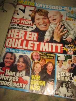2015 nr 029 SE OG HØR