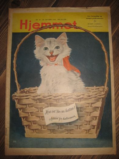 1954 nr 043 Hjemmet