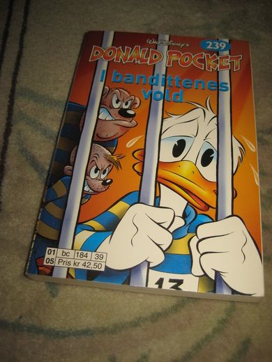 2000 NR 239 I BANDITTENES VOLD