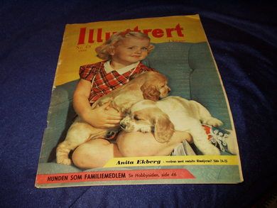 1960 nr 043 Illustrert