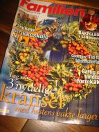 2004 nr 020 Familien