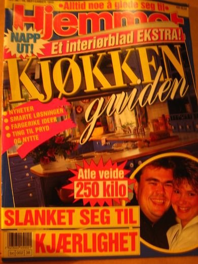 1995 nr 038 Hjemmet