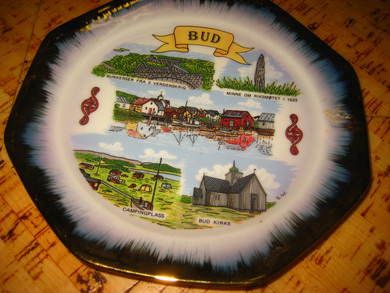 BUD ca 19 cm i diameter