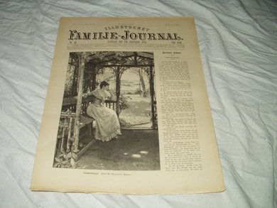1894 nr 036 Illustrert Familie Journal