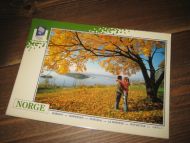 040 LOOC 1991 Ungdom i høstsol over Oslo