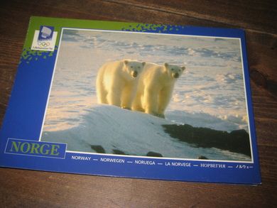 063 LOOC 1991 Isbjørner 2 ettåringer