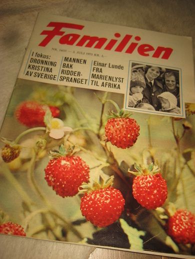 1973 nr 014 Familien