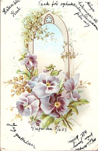 Bolomster kort fra 1903