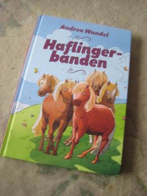 HAFLINGER BANDEN 2019