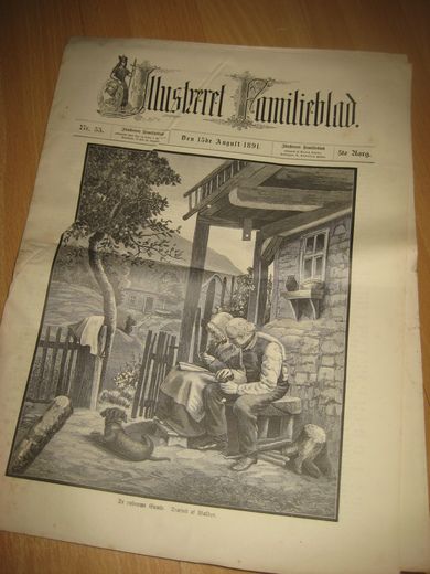 1891 nr 033 Illustreret Familieblad