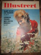 1964 nr 024 Illustrert