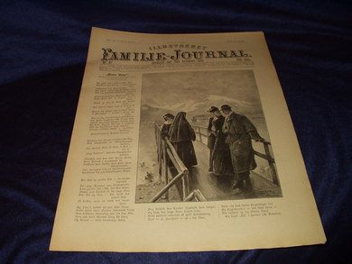 1893 nr 047 Illustrert Familie - Journal